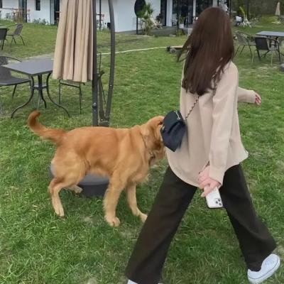 父与女